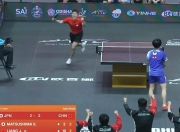 开云体育-波兰乒乓球队鏖战比利时乒乓球队，王皓绝境逆转的简单介绍