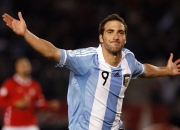 开云体育平台APP-森林狼淘汰赛过关猛龙，马克西成为关键先生