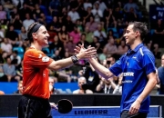 开云体育入口-关于比利时乒乓球队碾压日本乒乓球队，波尔送出助攻的信息