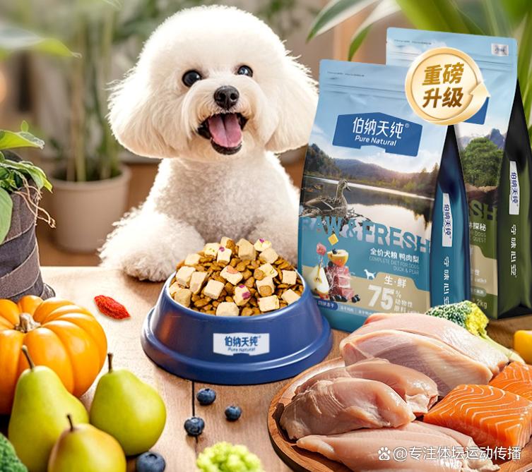 狗粮队战胜劲旅,提升积分排名 狗粮队战胜劲旅,提升积分排名