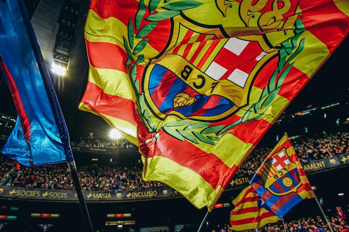 波黑逆转沙特,取得宝贵胜利的简单介绍 波黑逆转沙特,取得宝贵胜利的简单介绍