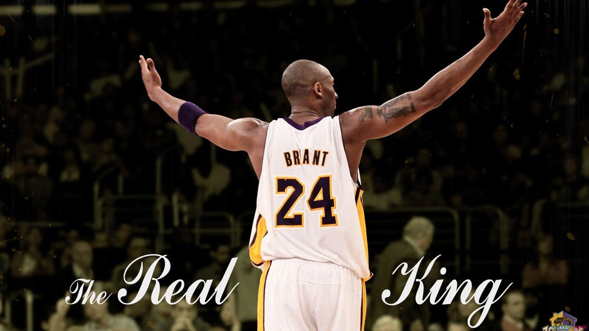 拉文狂飙突进，奇才火力全开压制火箭