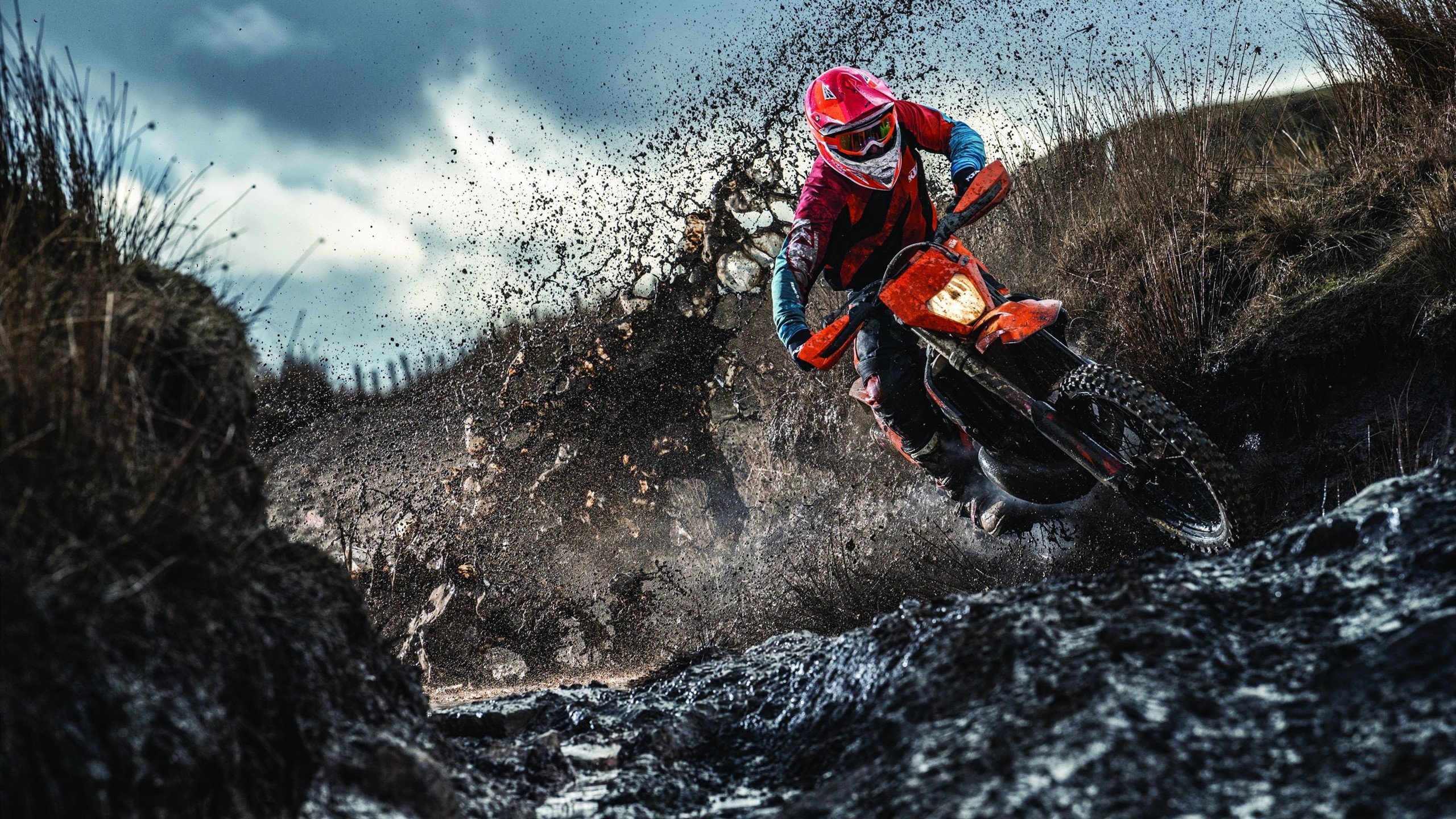 2026世界杯焦点战前瞻,猛龙全面压制步行者,战术与意志的较量